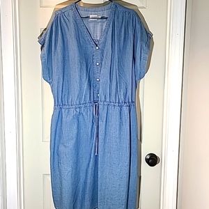 XXXL (22)  Denim dress